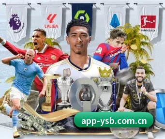 易胜博网址 APP